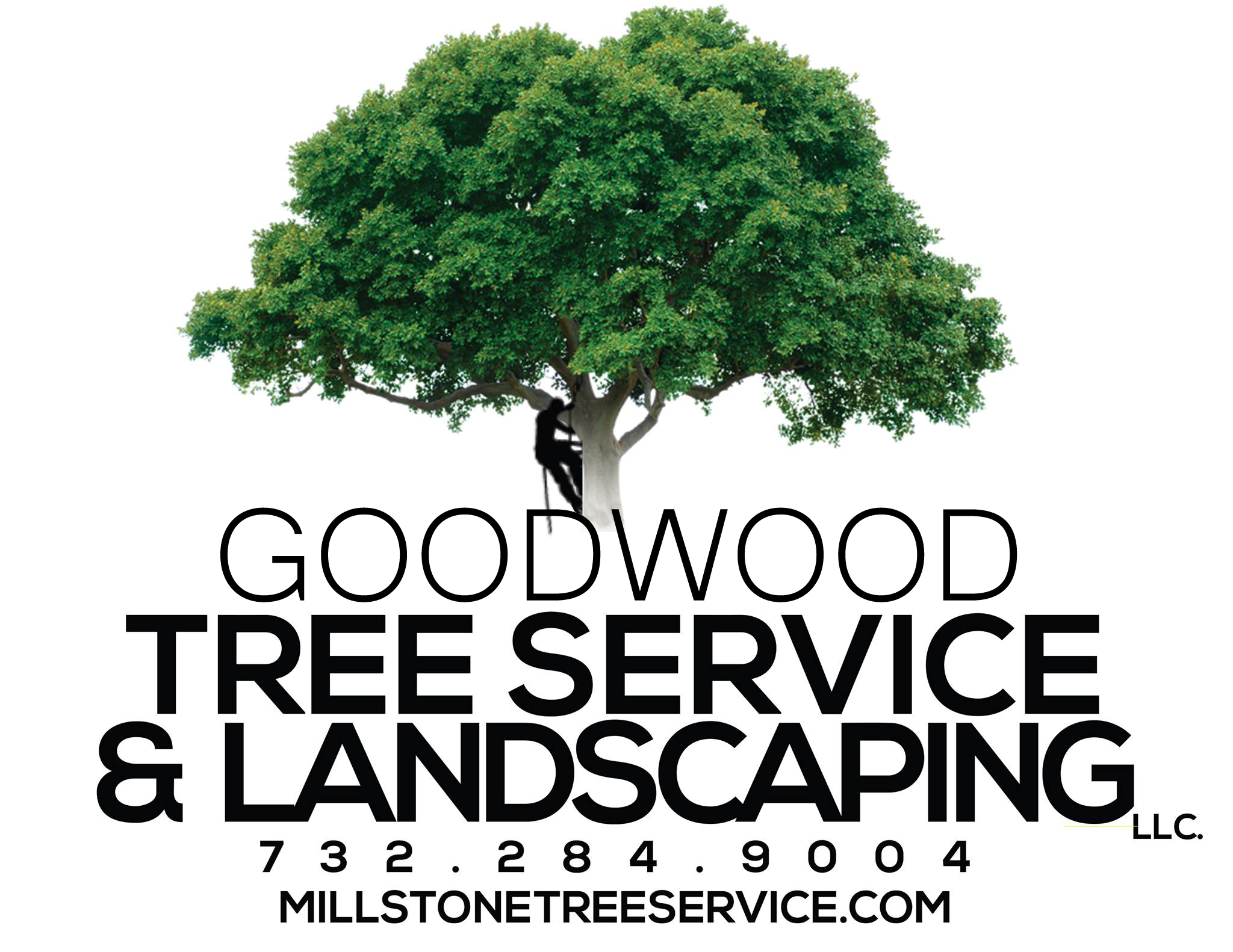 Good Wood Tree Experts - Expert Tree Care Solutions for Your Property