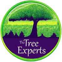 headerLogo
